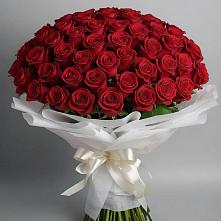 Букет 101 Красная роза Блэк Мэджик в Кумской Долине