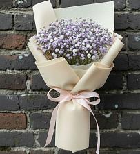 Букет цветов из:  Гипсофила в Кумской Долине