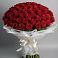Букет 101 Красная роза Блэк Мэджик в Кумской Долине