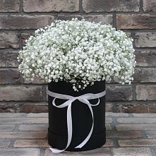 Цветочная композиция из Гипсофила в шляпной коробке в Кумской Долине