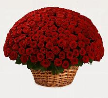 Премиум букет из: Розы #REPLACE_PRED# Кумской Долине